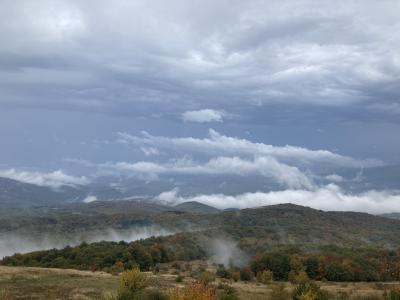 Прикрепленное изображение: IMG_4967.jpg